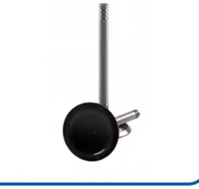Engine Valve